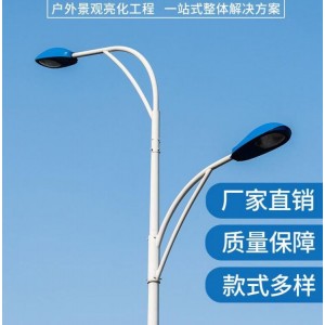 路灯生产厂家 大功率市电LED强光灯定制6米8米10米市政道路照明灯